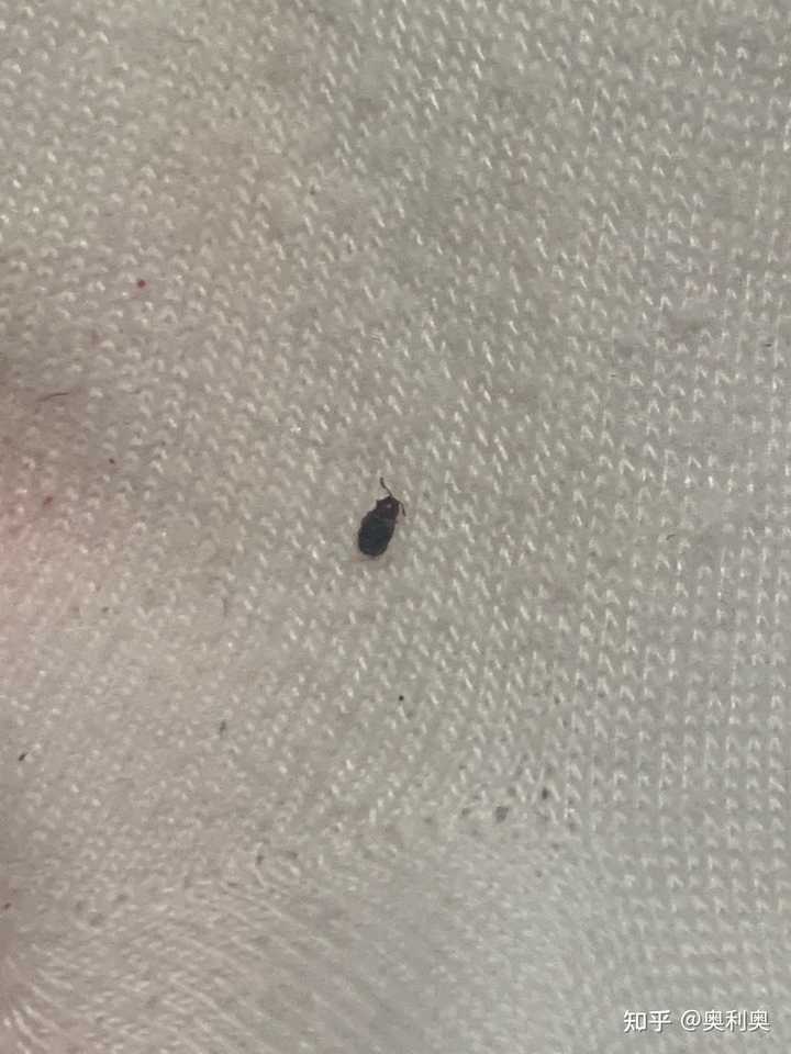 最新资讯 第65页