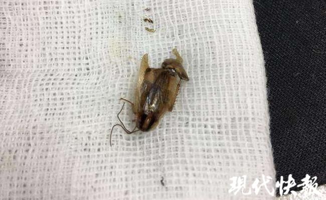 娱乐生活 第62页
